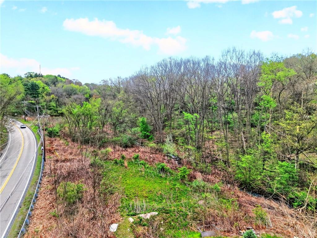 0 Clever Road McKees Rocks, PA 15136 - Photo 34 of 34 a view of a garden with trees