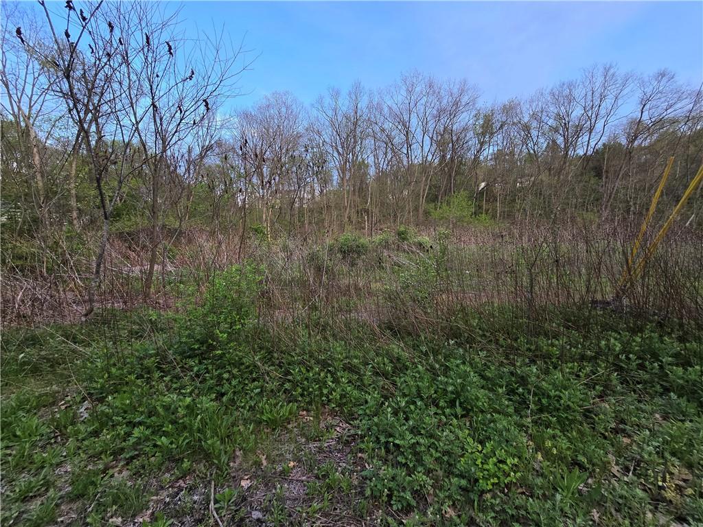 0 Clever Road McKees Rocks, PA 15136 - Photo 4 of 34 a view of a lush green forest with large trees