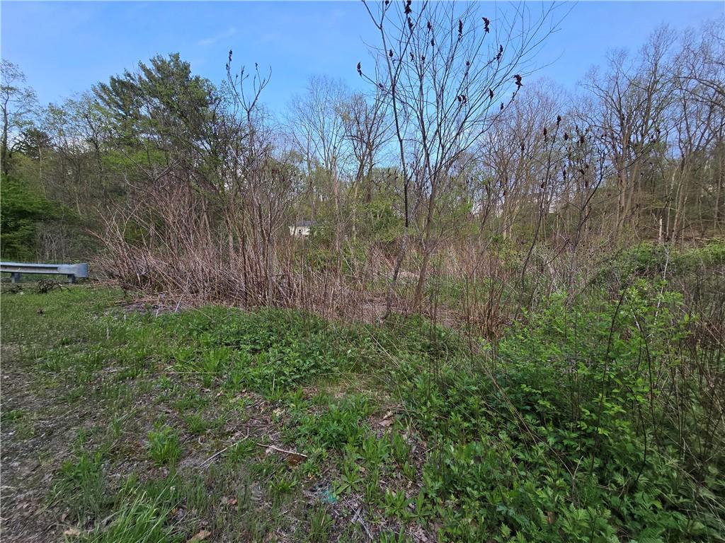 0 Clever Road McKees Rocks, PA 15136 - Photo 5 of 34 a view of a yard with a tree