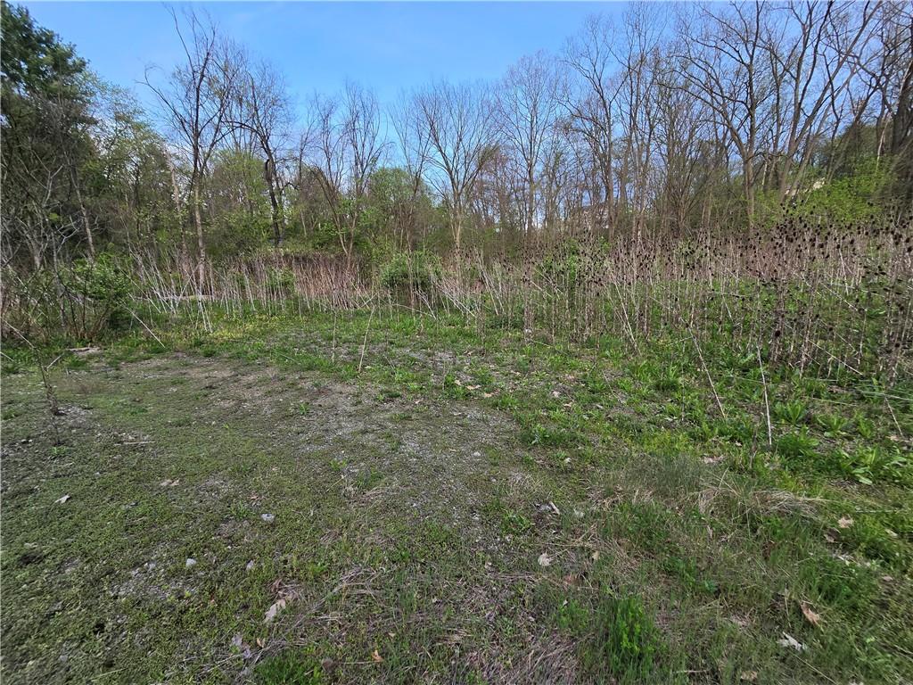 0 Clever Road McKees Rocks, PA 15136 - Photo 7 of 34 a view of a lush green forest with large trees