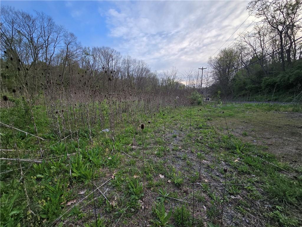 0 Clever Road McKees Rocks, PA 15136 - Photo 8 of 34 a view of a green field with lots of bushes