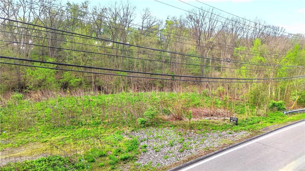 0 Clever Road McKees Rocks, PA 15136 - Photo 10 of 34 a garden view