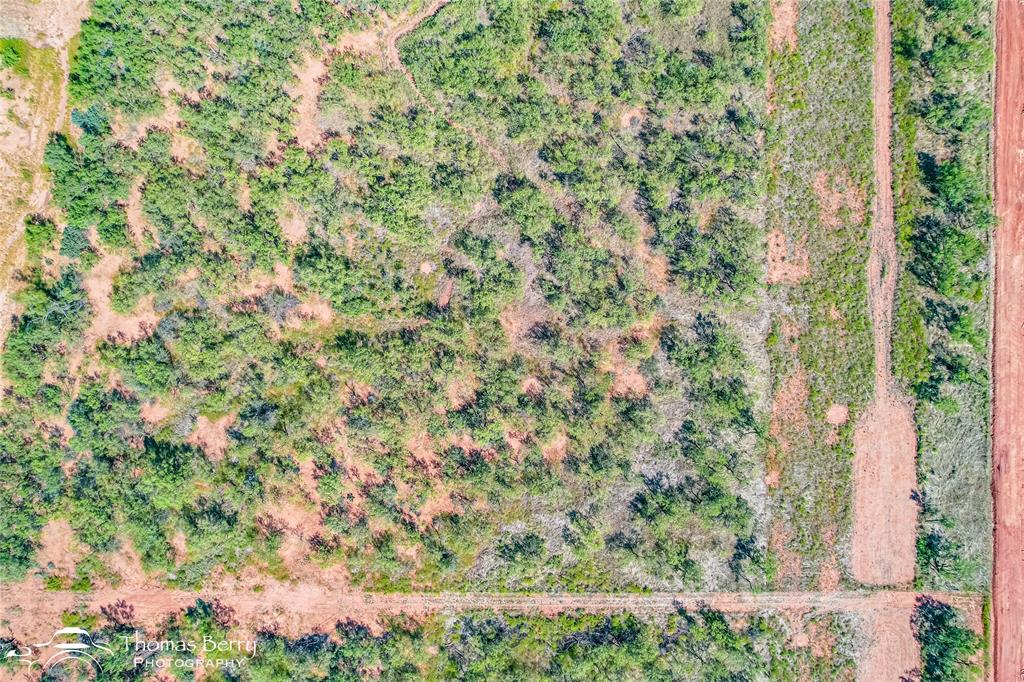 Tbd Summerhill Road Abilene, TX 79603 - Photo 11 of 11 a view of a yard with plants and wooden fence