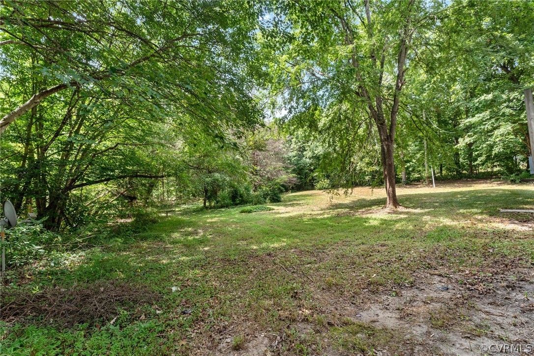 1172 Hendricks Road Pamplin, VA 23958 - Photo 31 of 36 a view of outdoor space with trees all around