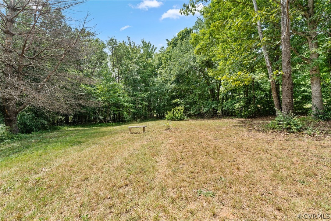 1172 Hendricks Road Pamplin, VA 23958 - Photo 34 of 36 a view of a yard with a tree