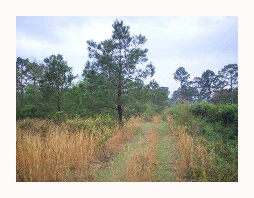 0 Tiger Branch Road Covington, LA 70435 - Photo 3 of 7 Gallery Image 3