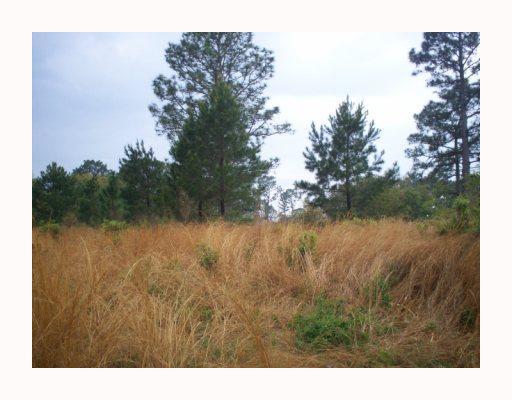 0 Tiger Branch Road Covington, LA 70435 - Photo 5 of 7 Gallery Image 5