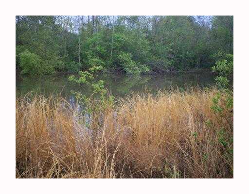 0 Tiger Branch Road Covington, LA 70435 - Photo 7 of 7 Gallery Image 7