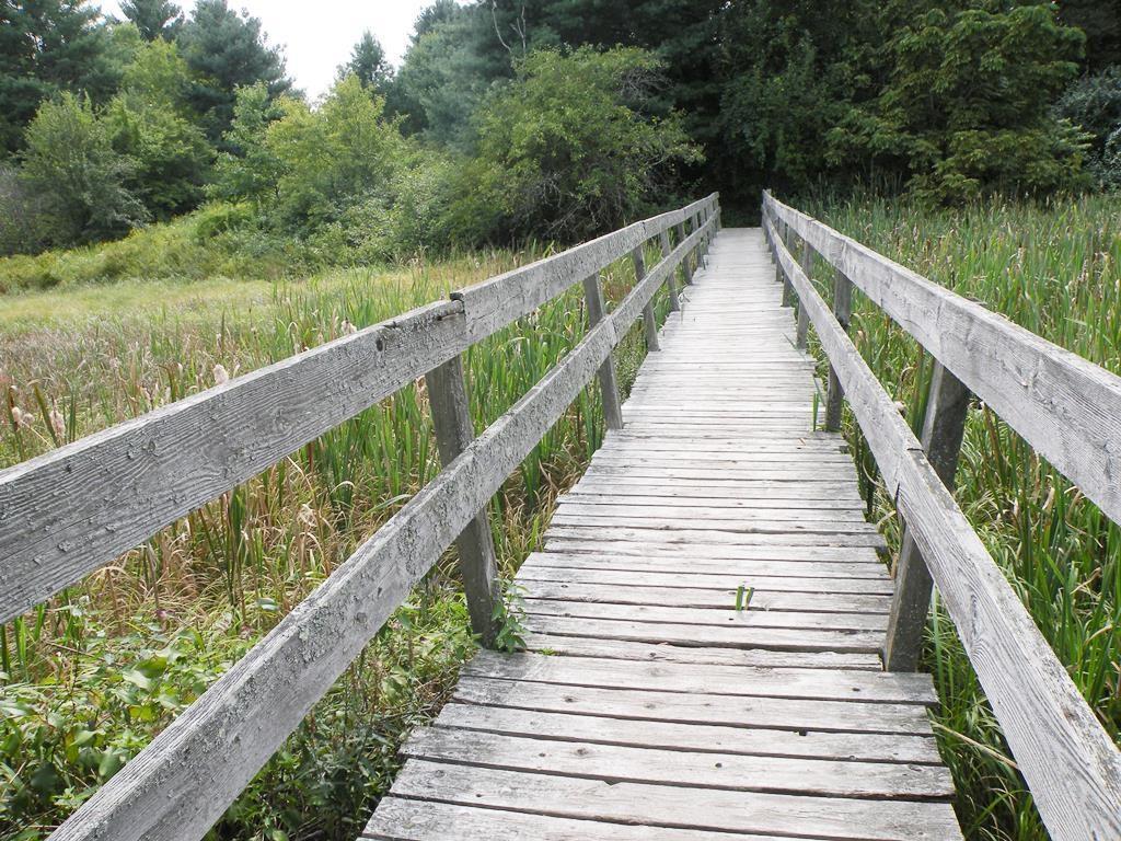 64 Winding Way Portland, ME 04102 - Photo 29 of 30 Portland Trails Bridge steps from...