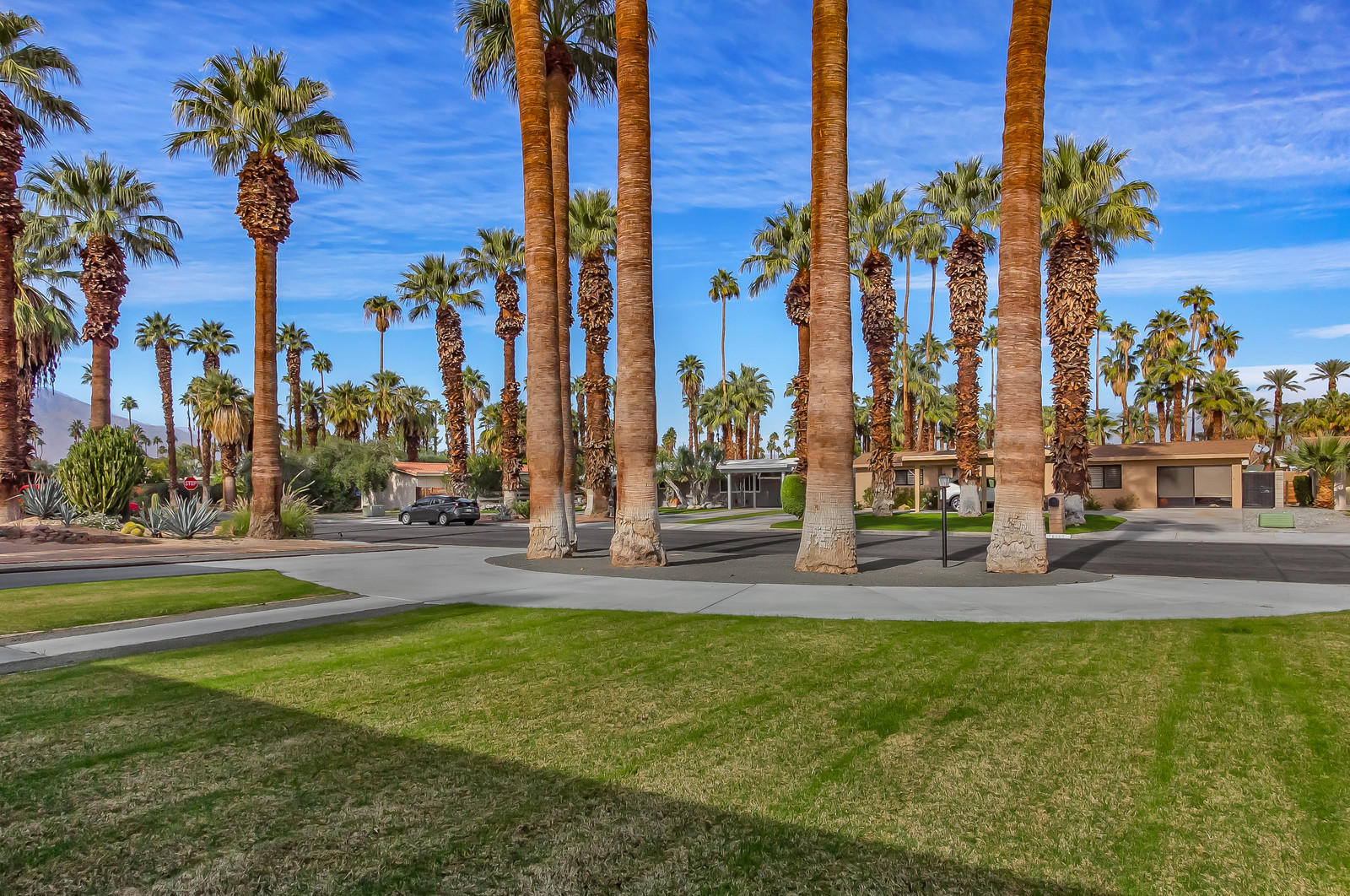 70061 Chappel Road Rancho Mirage, CA 92270 - Photo 26 of 26 a view of a yard with palm trees