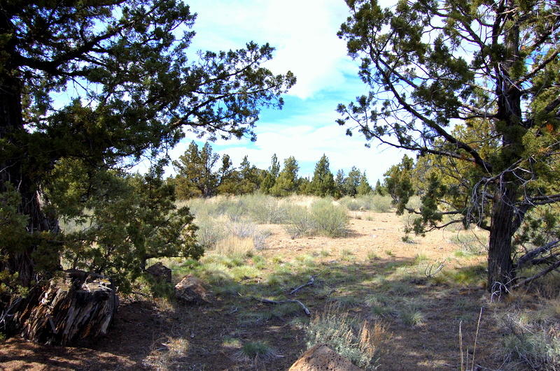 7500 Crow Road Prineville, OR 97754 - Photo 5 of 14 DSC_3603