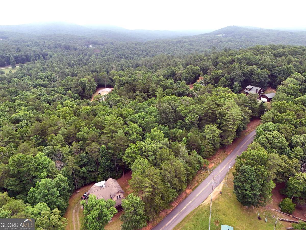 Lot 3 Cook Henry Road Blairsville, GA 30512 - Photo 18 of 18