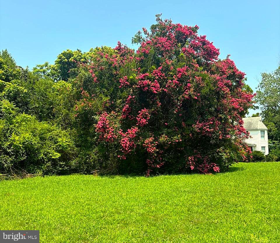 15240 Point Lookout Road St. Inigoes, MD 20684 - Photo 21 of 24 Gallery Image 21