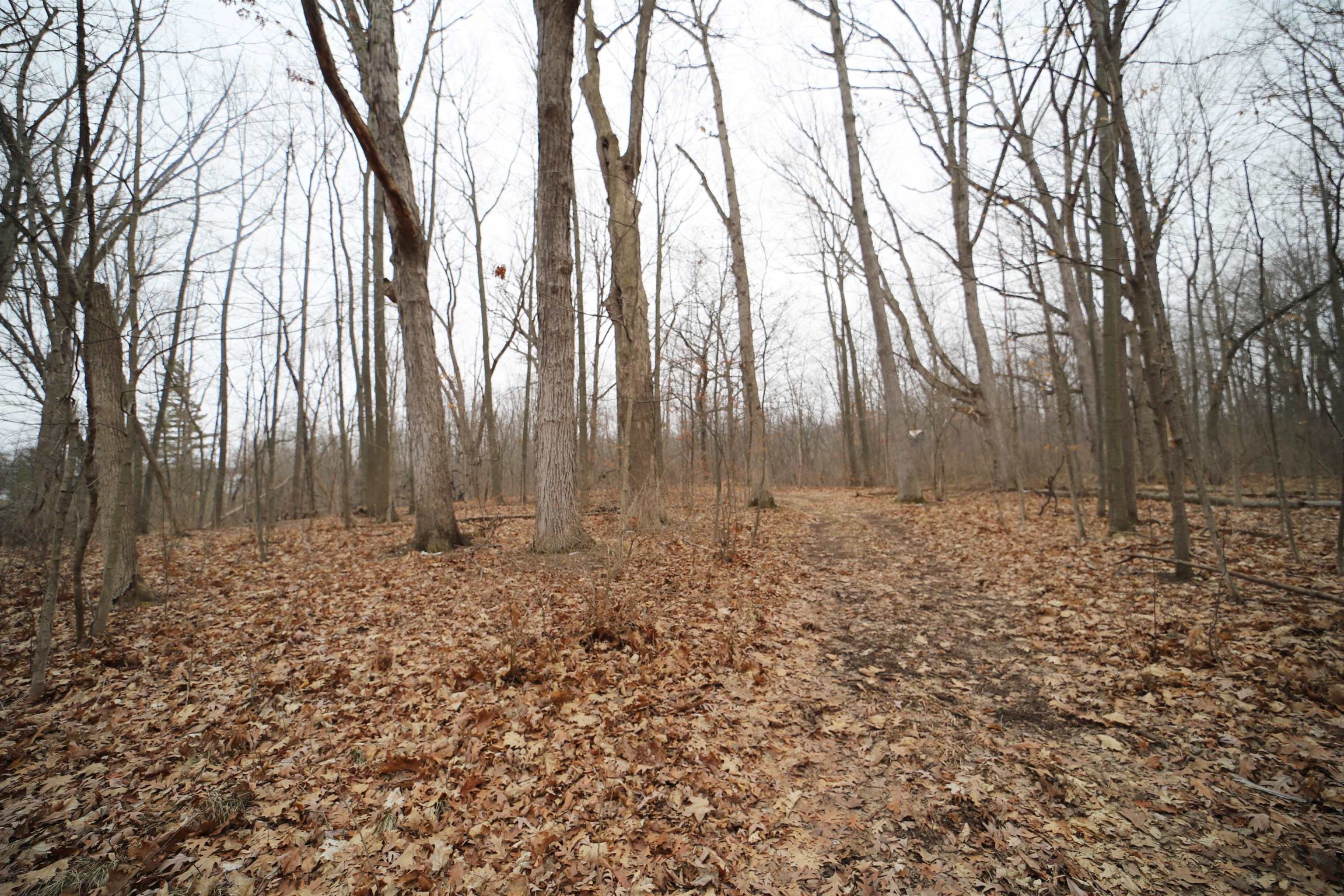 2315 Reid Road Grand Blanc, MI 48439 - Photo 36 of 60 50102036-35.JPG