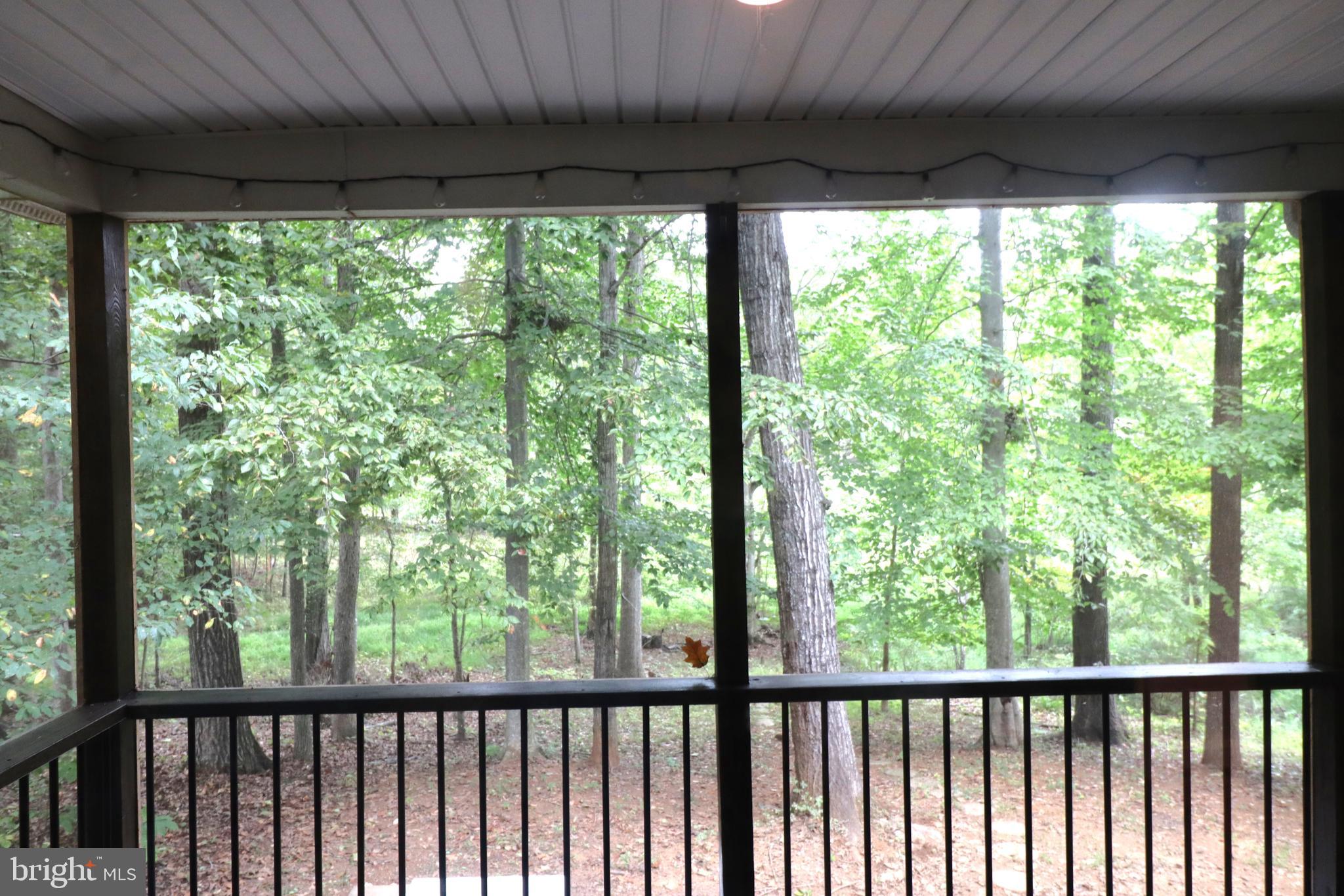 1111 Eastover Parkway Locust Grove, VA 22508 - Photo 20 of 62 a view of a forest from a porch