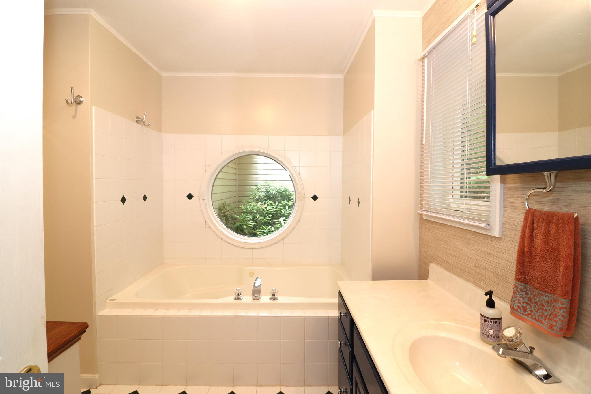 1111 Eastover Parkway Locust Grove, VA 22508 - Photo 21 of 62 a bathroom with a sink and a mirror