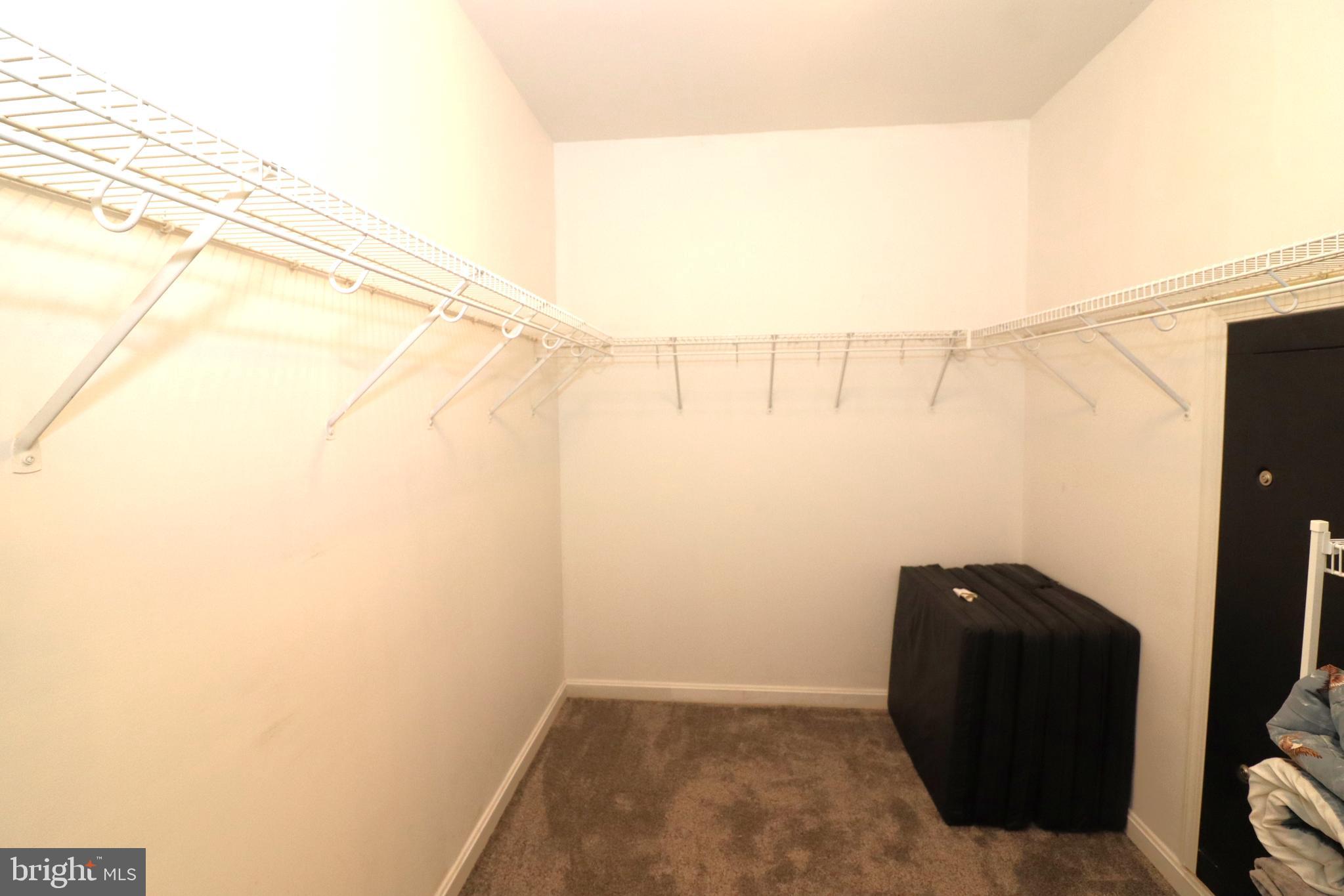 1111 Eastover Parkway Locust Grove, VA 22508 - Photo 25 of 62 Primary Bedroom walk-in closet