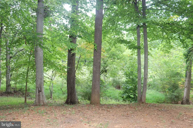 $480,000 | 1111 Eastover Parkway, Locust Grove, VA 22508