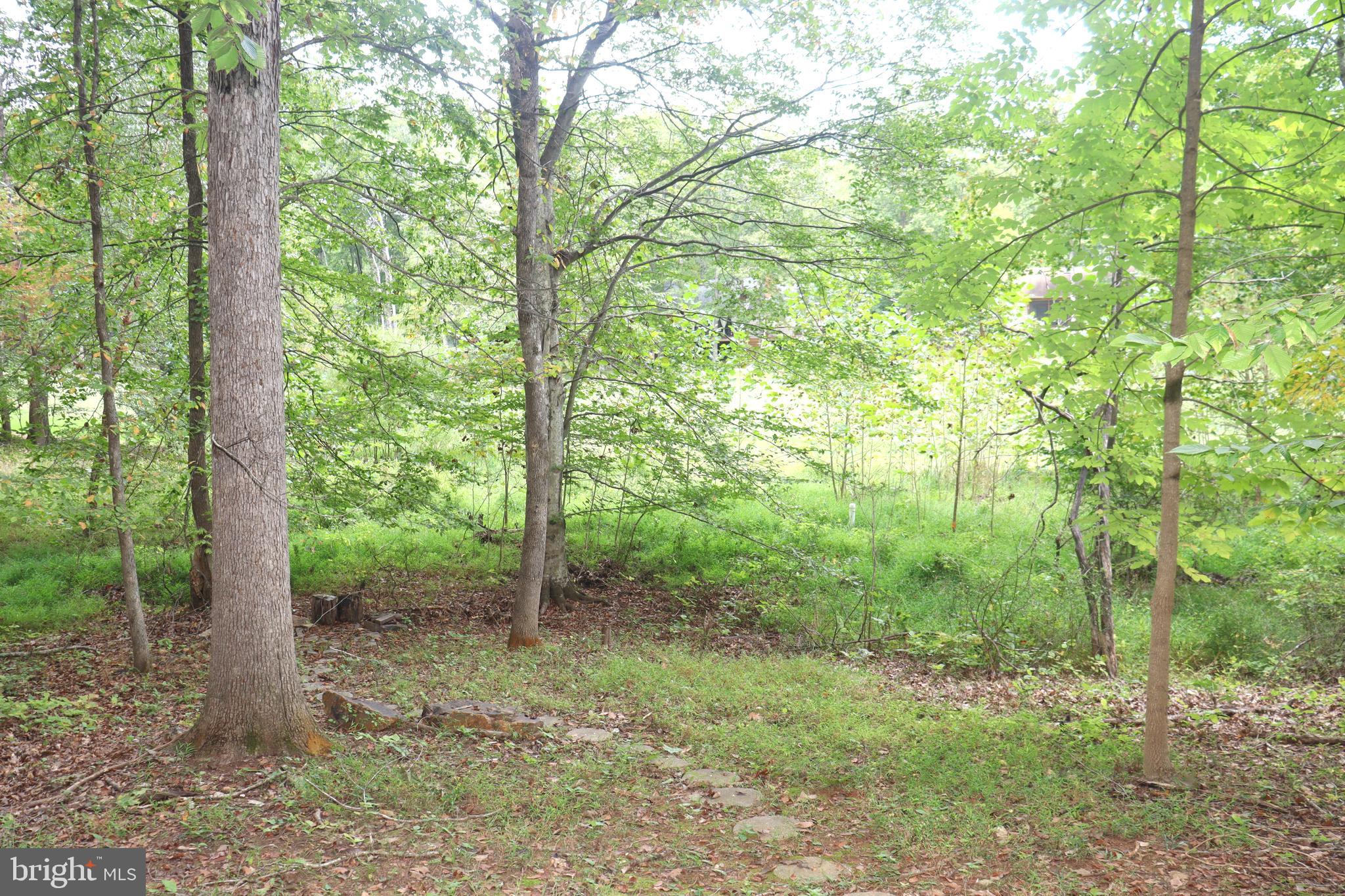 1111 Eastover Parkway Locust Grove, VA 22508 - Photo 53 of 62 a view of a forest that has large trees