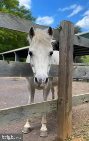 $480,000 | 1111 Eastover Parkway, Locust Grove, VA 22508