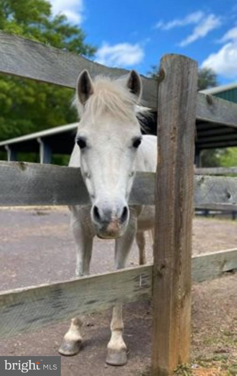 1111 Eastover Parkway Locust Grove, VA 22508 - Photo 57 of 62 Equestrian Center