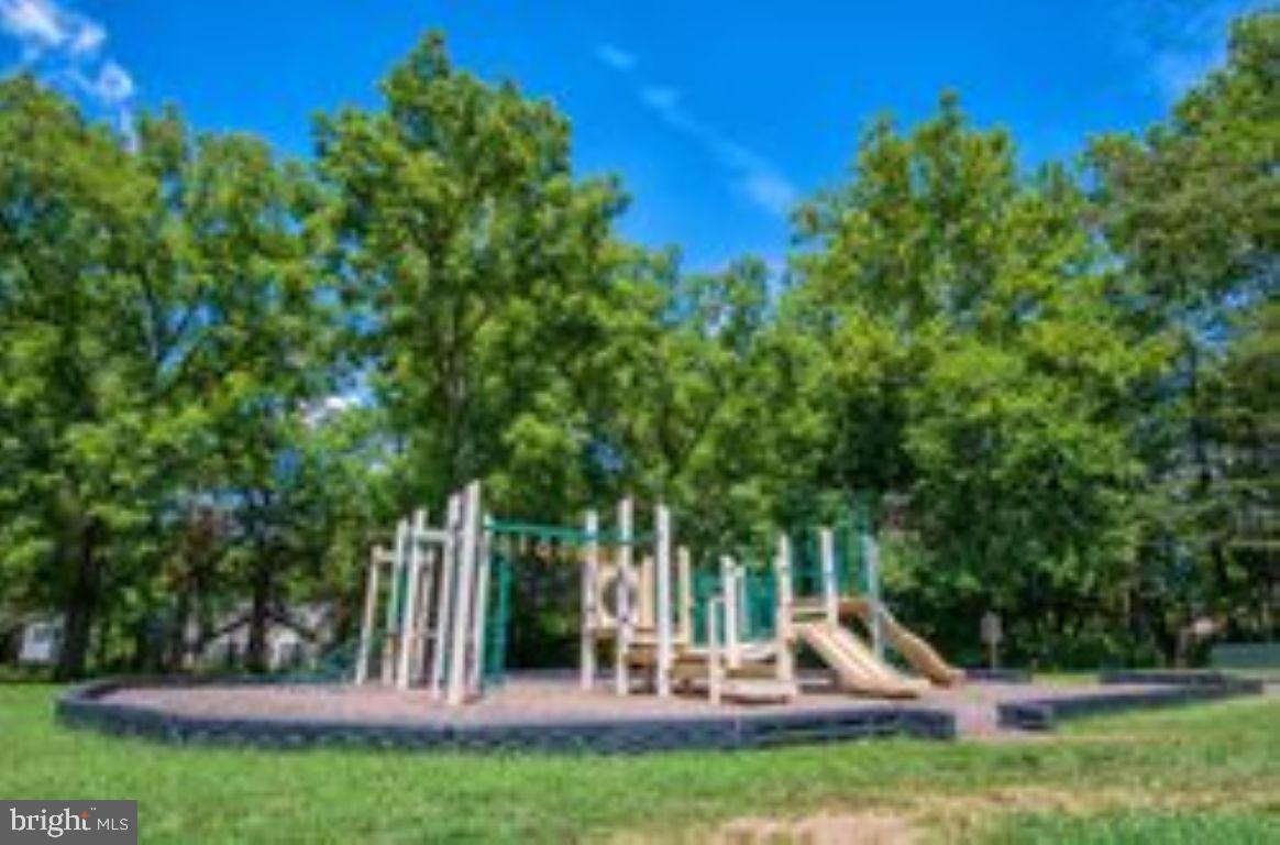 1111 Eastover Parkway Locust Grove, VA 22508 - Photo 60 of 62 a view of a park with slide