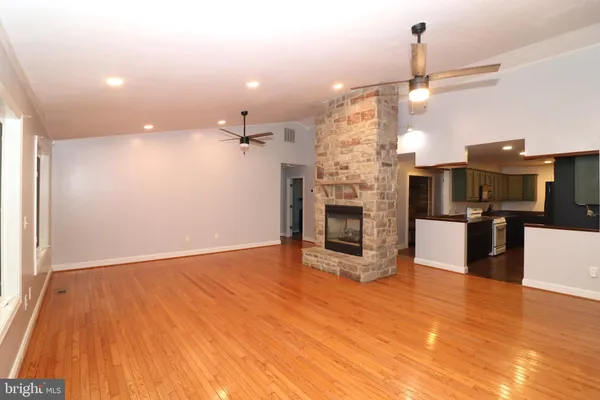 a view of a forest that has large trees