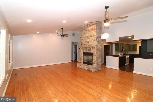 a view of a forest that has large trees