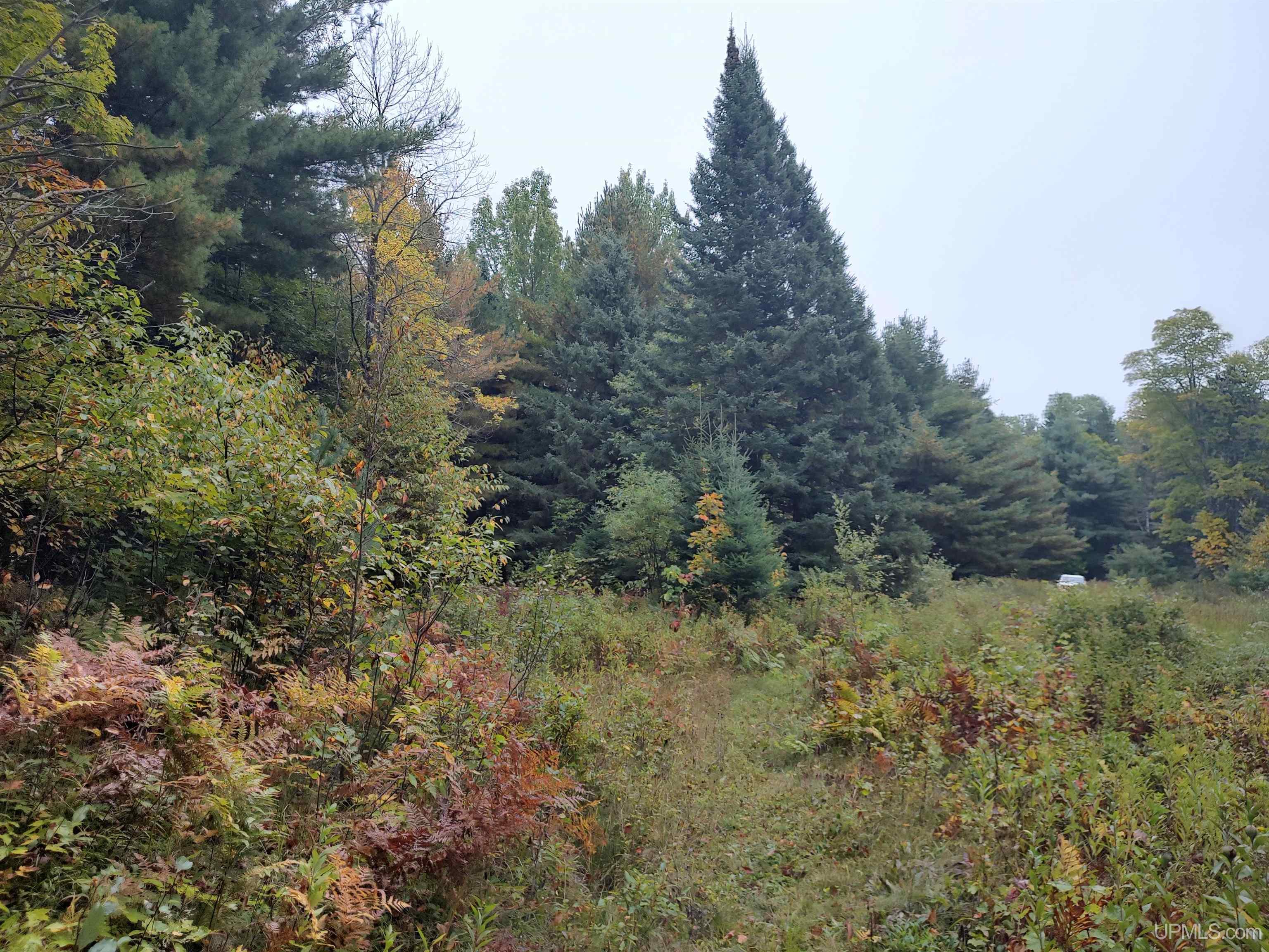 Tbd South Laird Road Pelkie, MI 49958 - Photo 3 of 25
