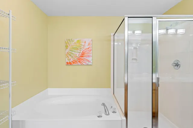 a bathroom with a bathtub and a shower