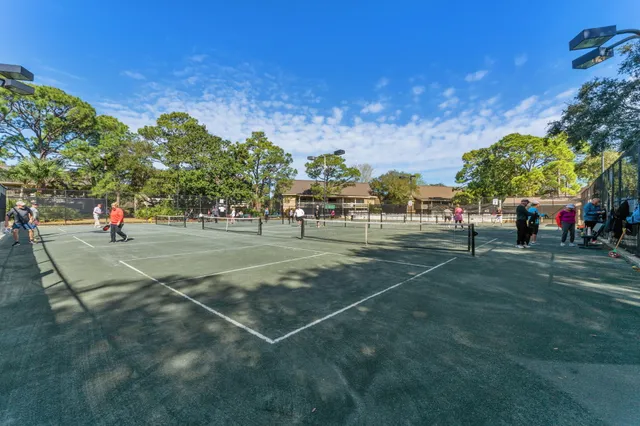 a view of a tennis ground with large trees