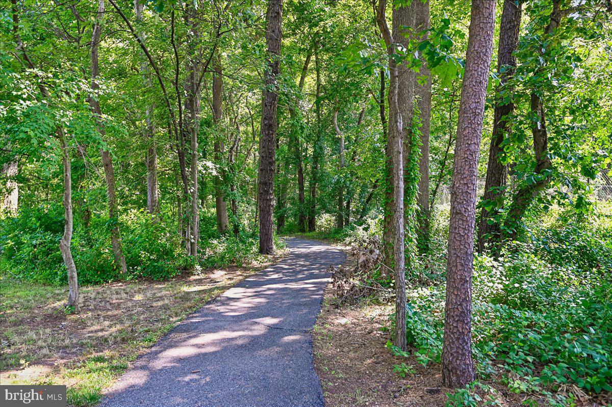 603 Queenstown Road Severn, MD 21144 - Photo 82 of 85 Serene path through lush greenery.