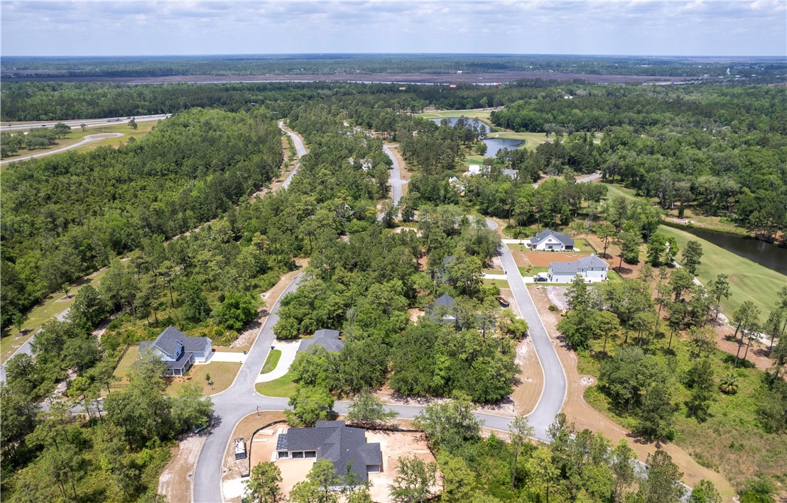 0 Rookery Wynd Waverly, GA 31565 - Photo 6 of 9