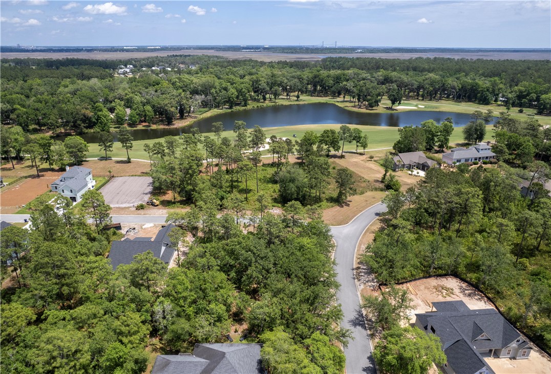 0 Rookery Wynd Waverly, GA 31565 - Photo 7 of 9