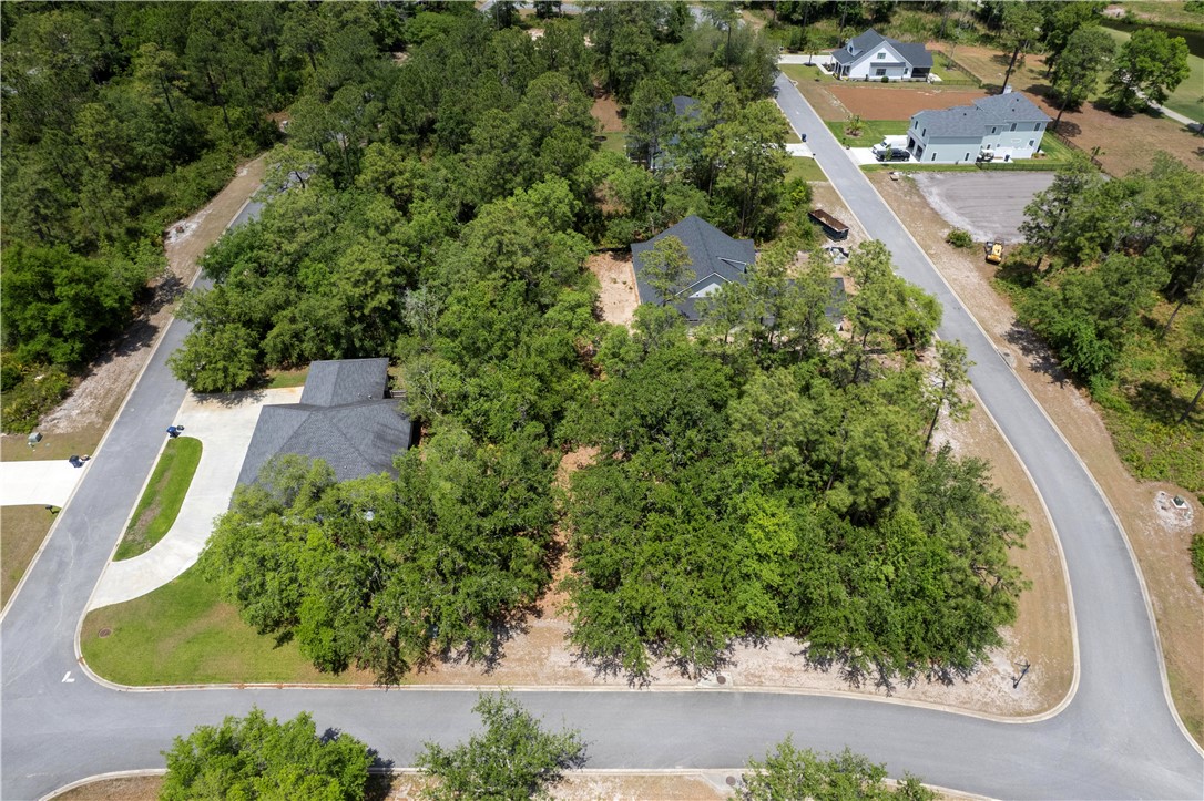 0 Rookery Wynd Waverly, GA 31565 - Photo 8 of 9