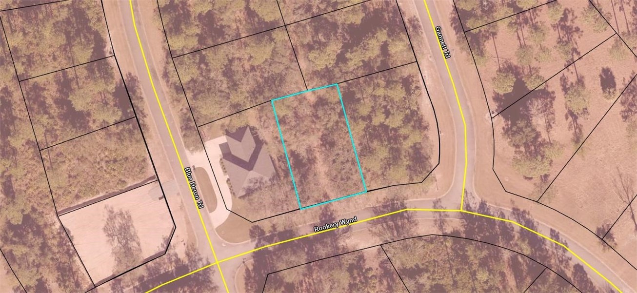 0 Rookery Wynd Waverly, GA 31565 - Photo 9 of 9