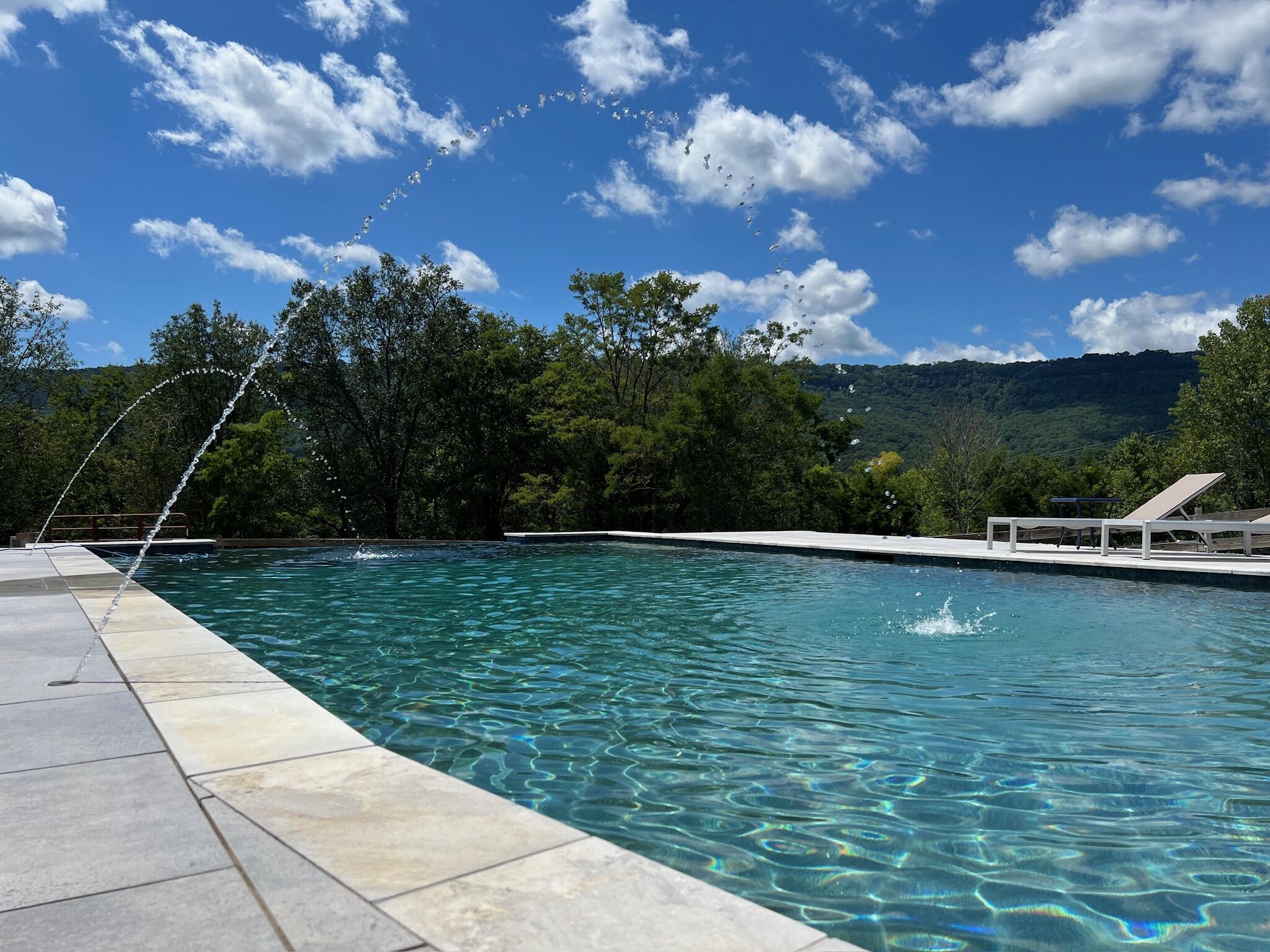 527 Reads Lake Road Chattanooga, TN 37415 - Photo 24 of 100 Pool - close-up