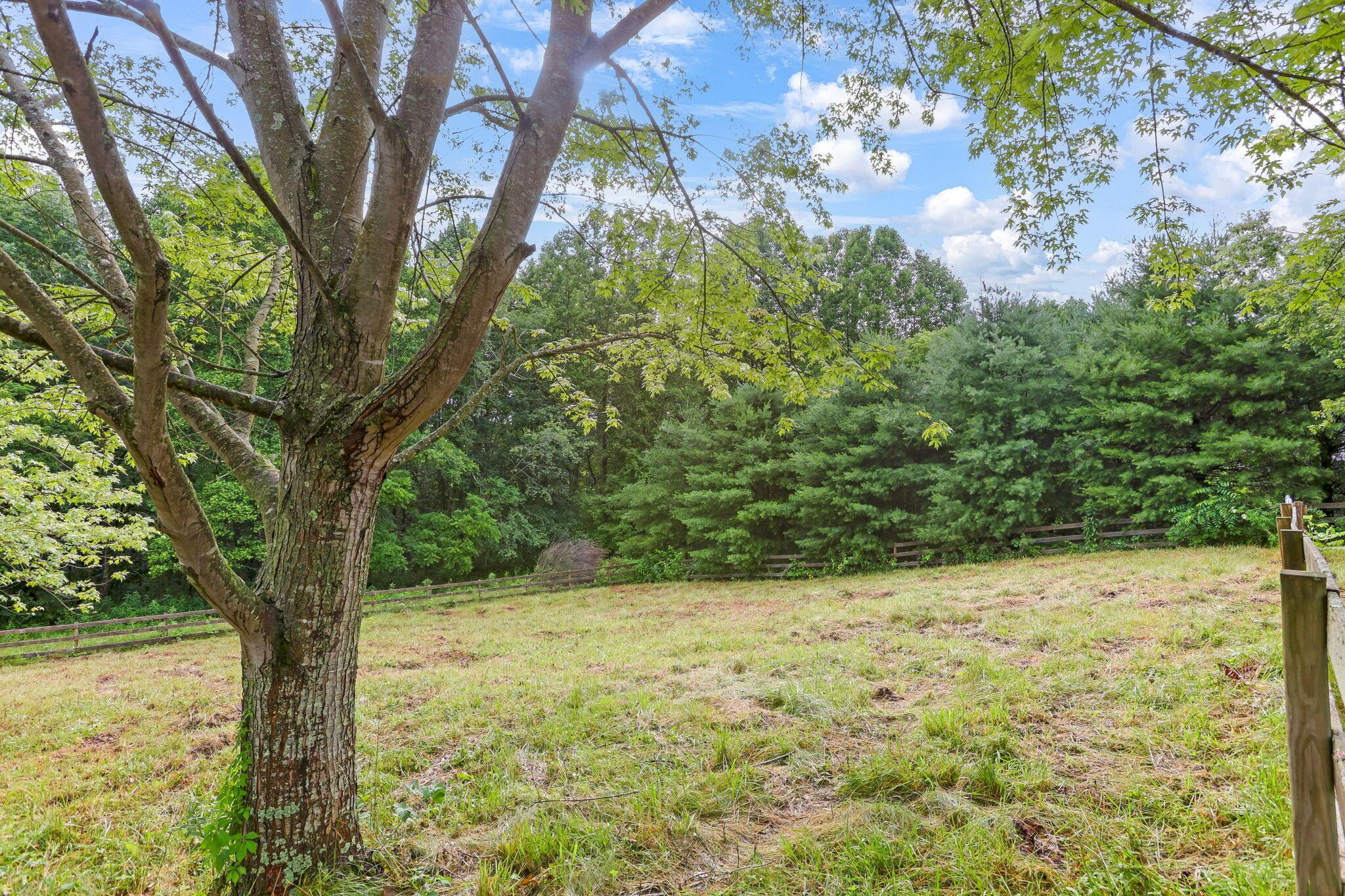 35 White Road Nelsonville, OH 45764 - Photo 53 of 58 Pasture