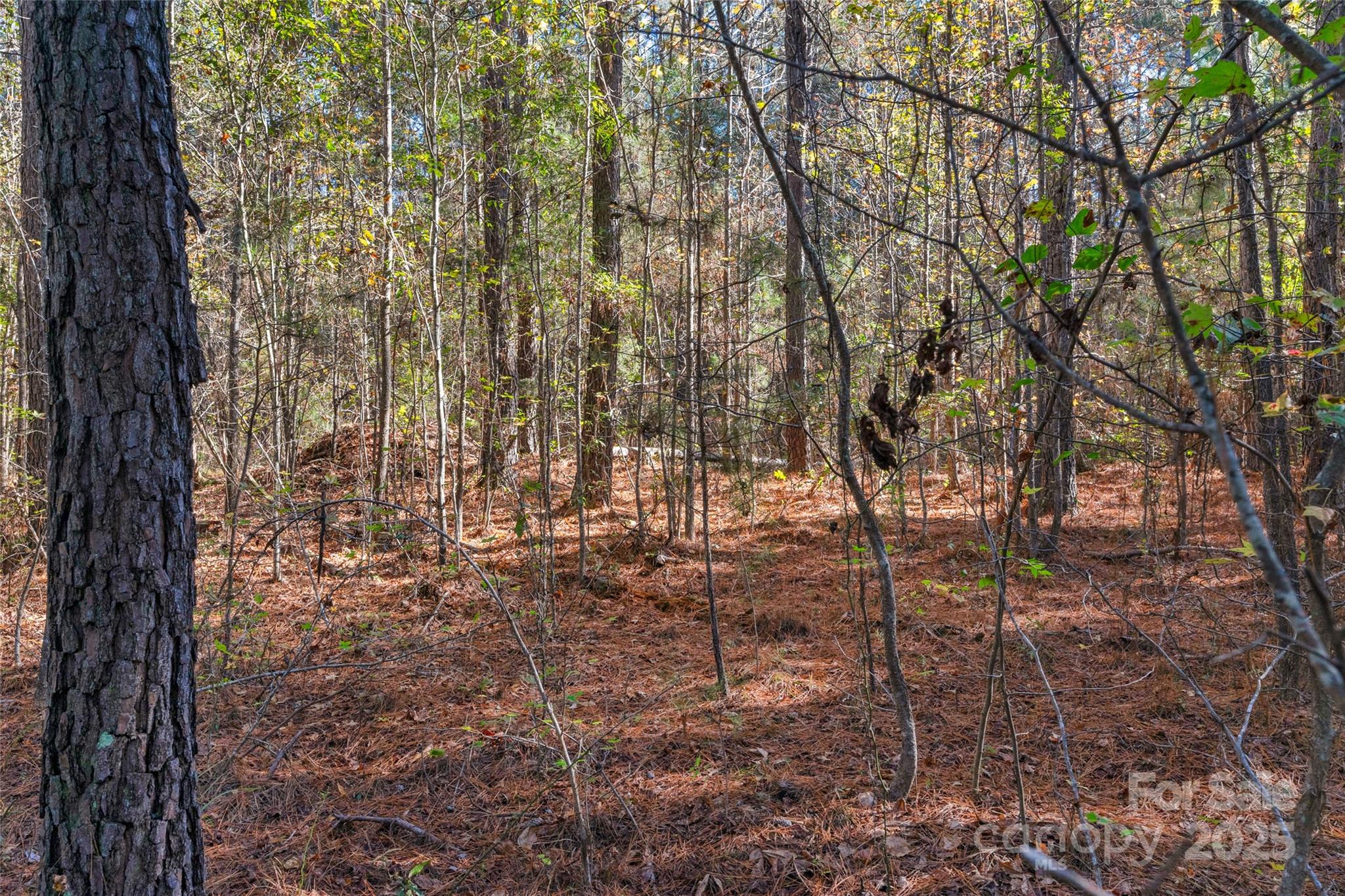 0 Beaker Road, Unit 4 Heath Springs, SC 29058 - Photo 13 of 23 Gallery Image 13