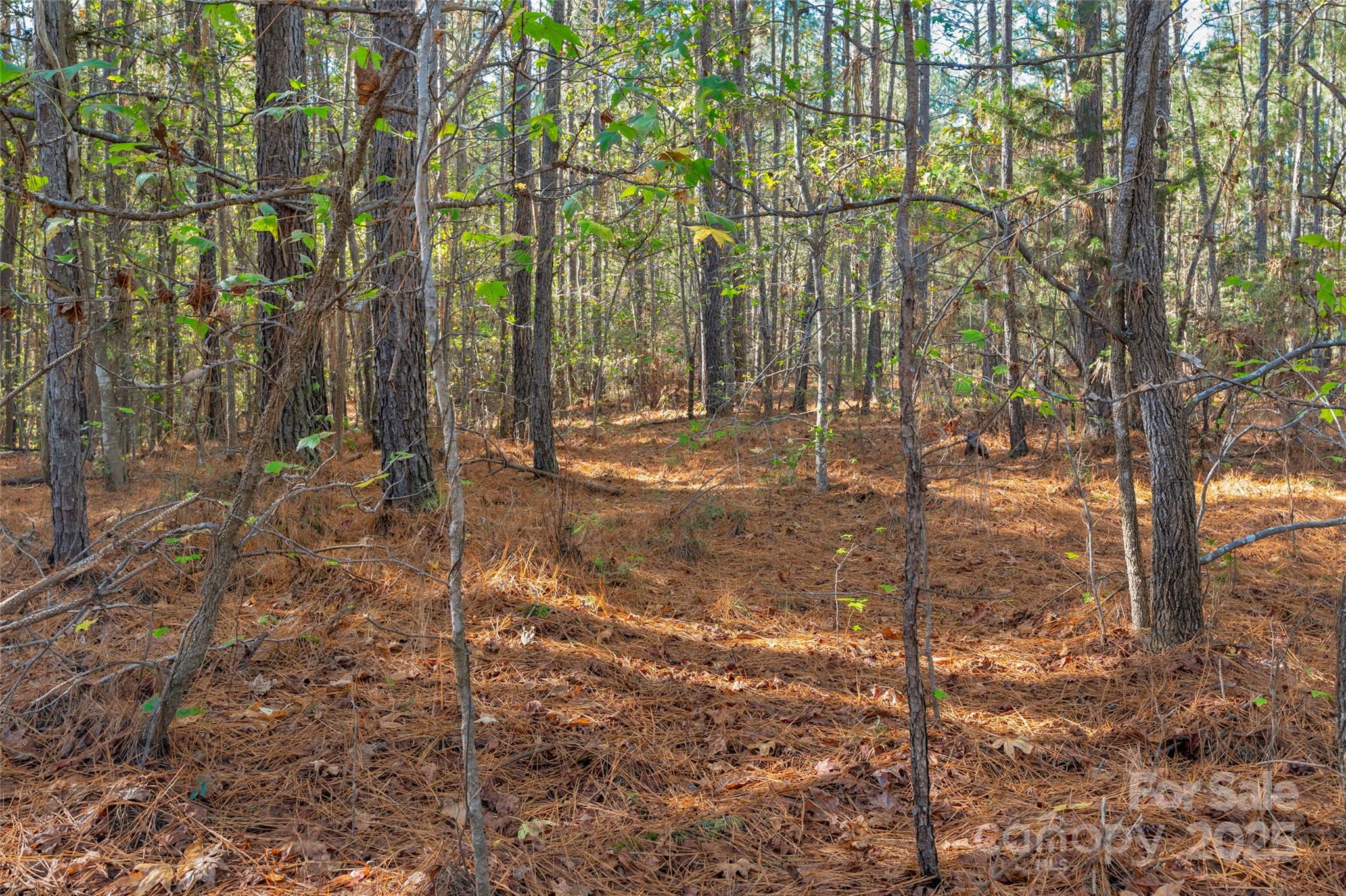 0 Beaker Road, Unit 4 Heath Springs, SC 29058 - Photo 15 of 23 Gallery Image 15