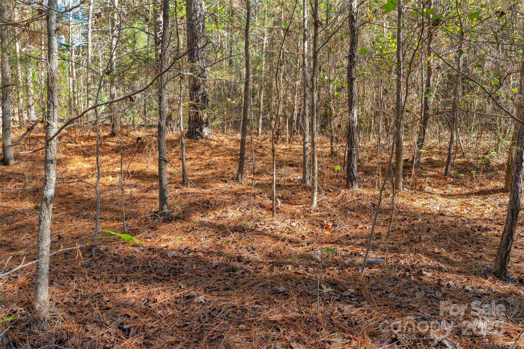 0 Beaker Road, Unit 4 Heath Springs, SC 29058 - Photo 16 of 23 Gallery Image 16