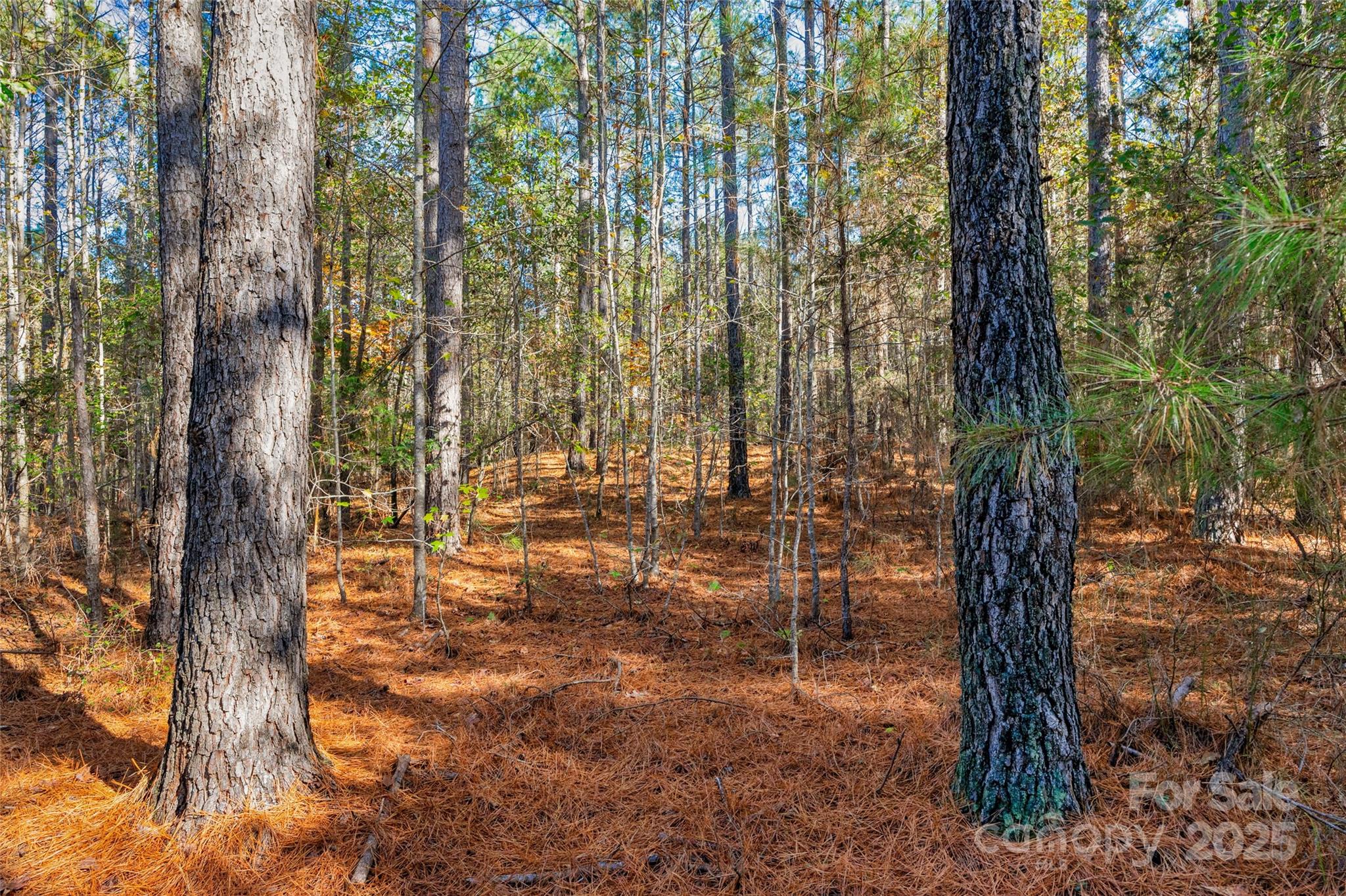 0 Beaker Road, Unit 4 Heath Springs, SC 29058 - Photo 18 of 23 Gallery Image 18
