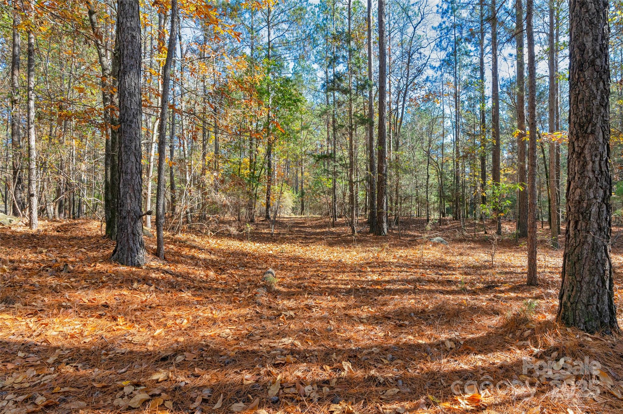 0 Beaker Road, Unit 4 Heath Springs, SC 29058 - Photo 20 of 23 Gallery Image 20