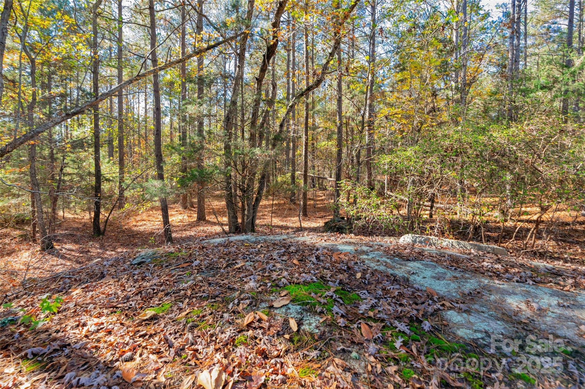 0 Beaker Road, Unit 4 Heath Springs, SC 29058 - Photo 21 of 23 Gallery Image 21