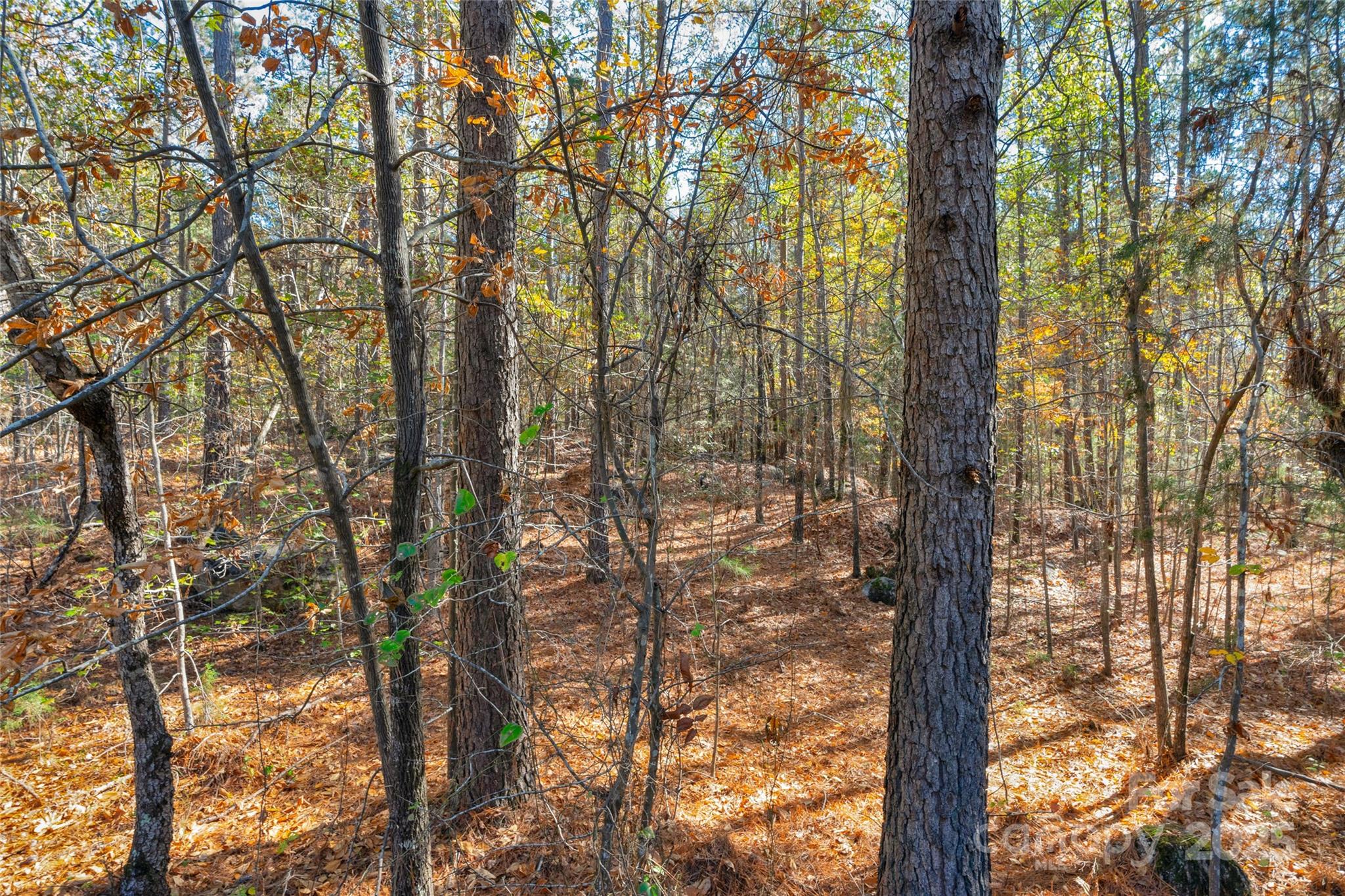 0 Beaker Road, Unit 4 Heath Springs, SC 29058 - Photo 23 of 23 Gallery Image 23