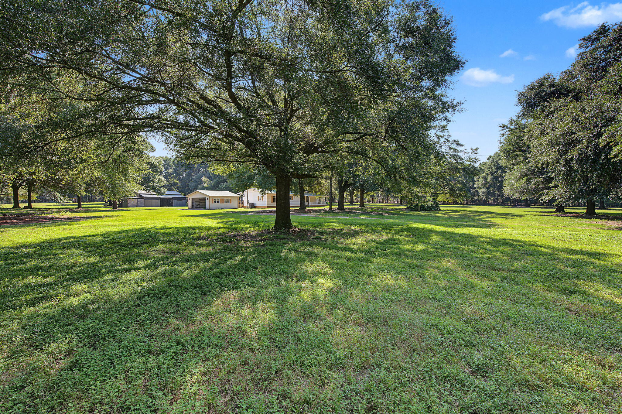 12400 Wildlife Road Holt, FL 32564 - Photo 49 of 58 48-web-or-mls-12400-wildlife-rd