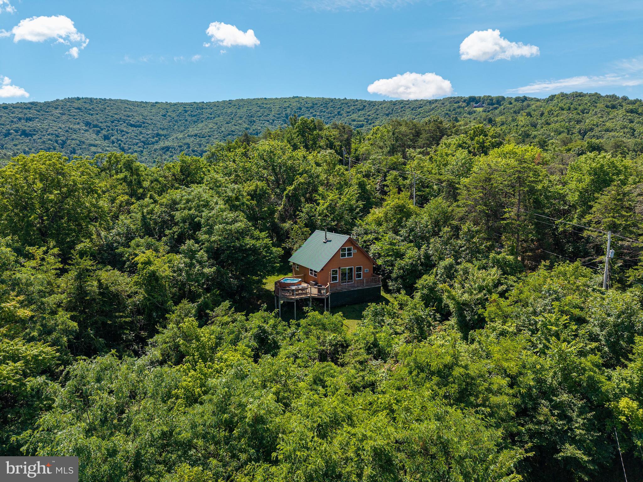707 Overlook Drive Rileyville, VA 22650 - Photo 74 of 94