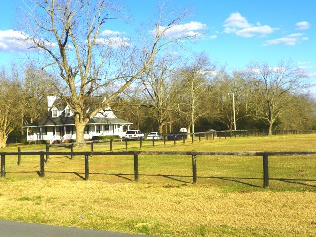 Lot 3 Skyland Farm Road Williston, SC 29853 - Photo 4 of 5 Gallery Image 4
