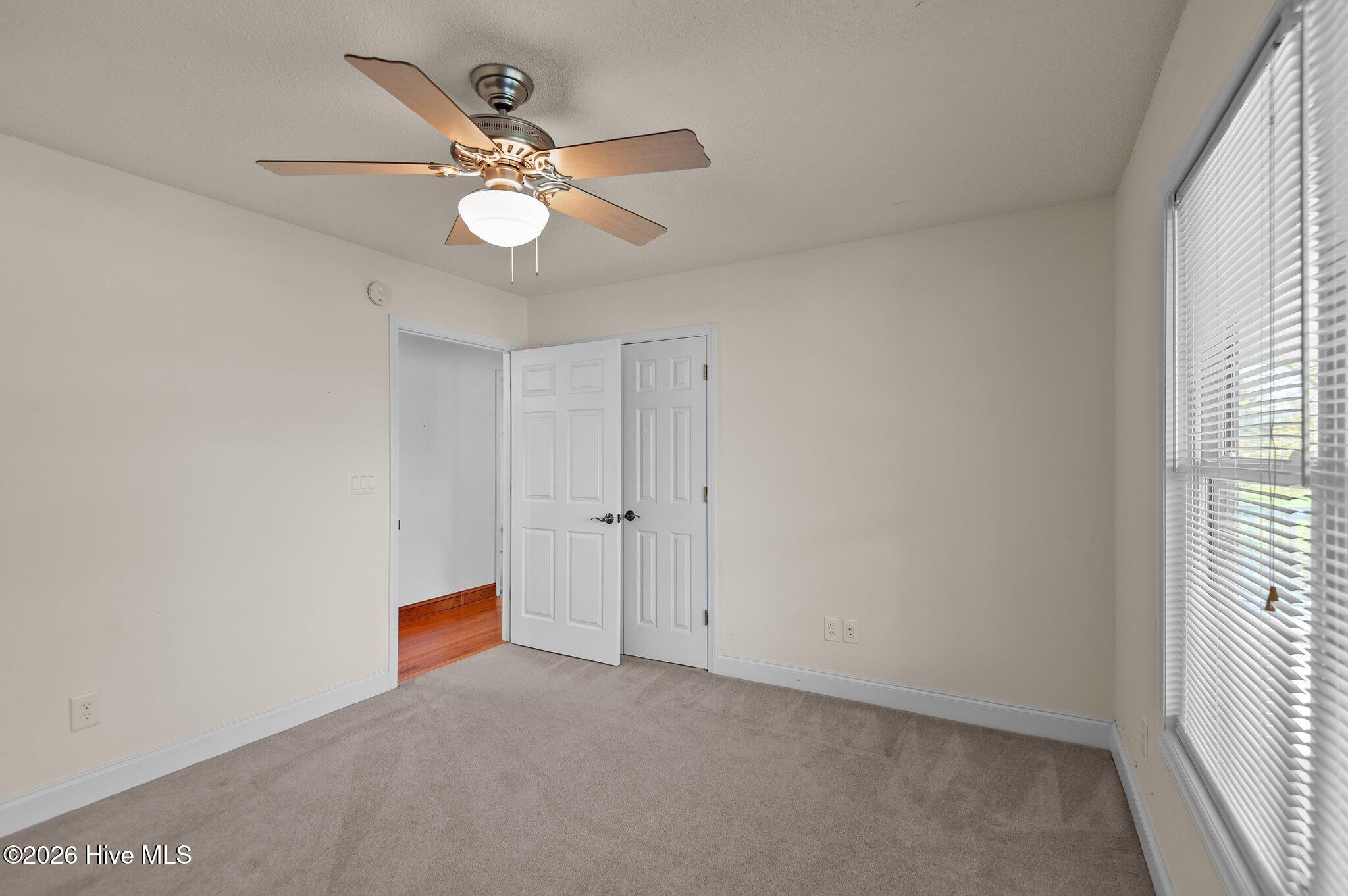 155 Teach's Cove Road Bath, NC 27808 - Photo 10 of 47 10-web-or-mls-_DSC5201