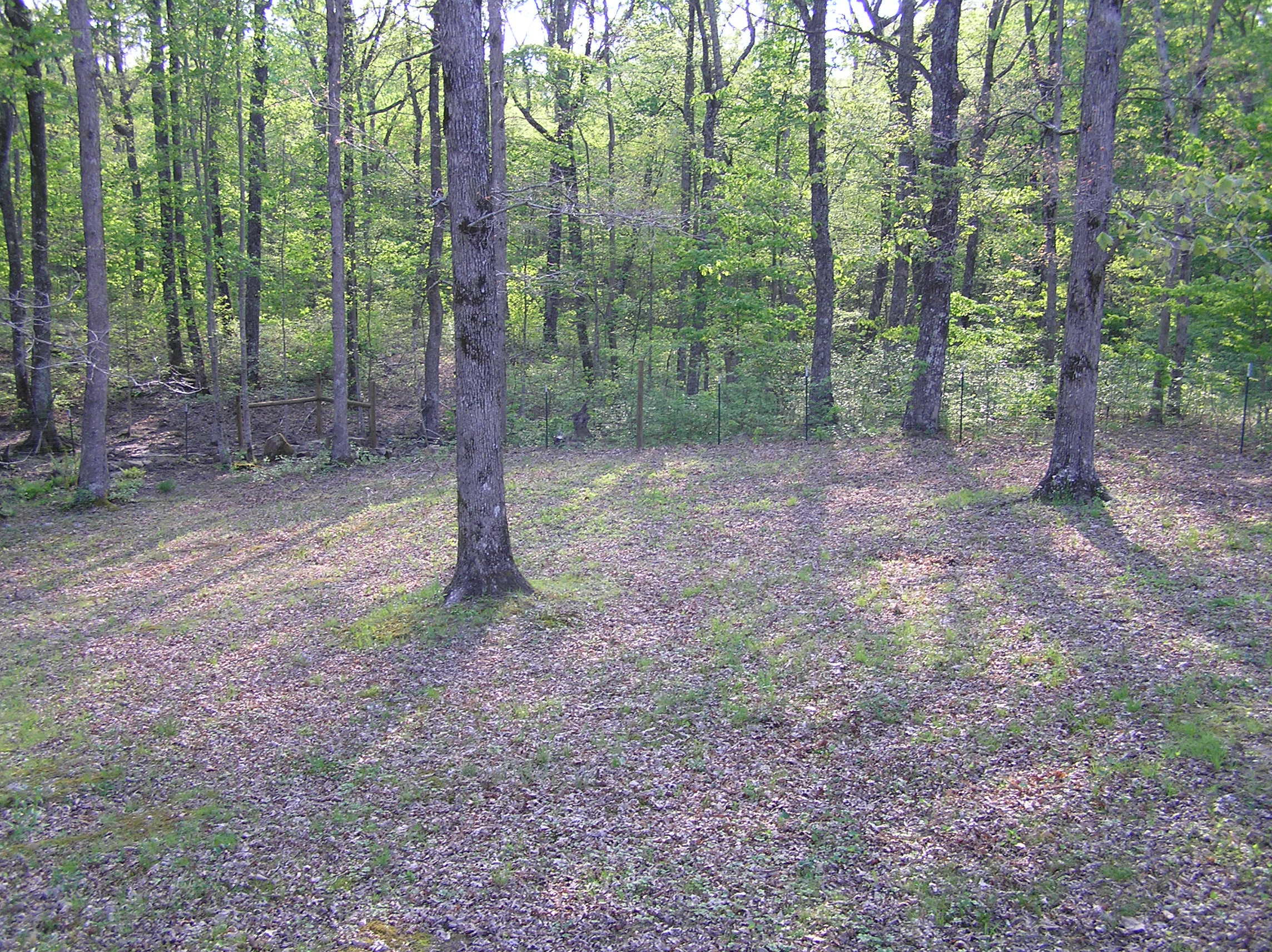 219 Roe Drive Dunlap, TN 37327 - Photo 32 of 40 Roe 024